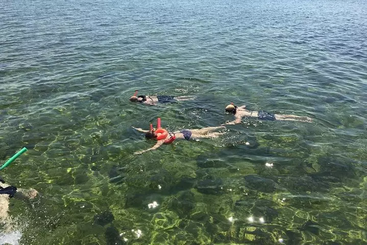 Key West Dolphin Watch and Snorkel Tour - Eco Adventure