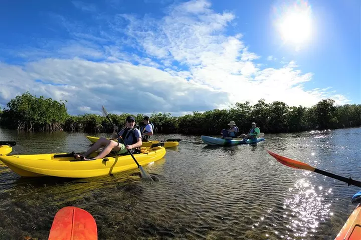 Mangrove Tunnel Kayak Adventure in Key Largo