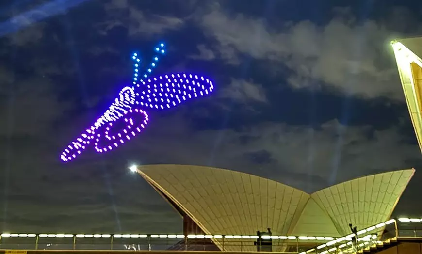 Image 3: 90 Minutes Vivid Cruise Festival