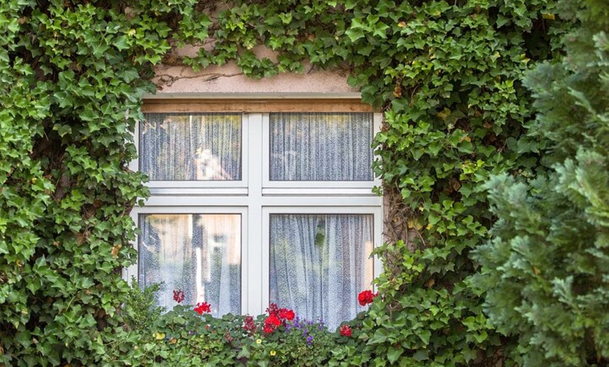 Image 4: E-Ticket für den Botanischen Garten Berlin mit Audiotour