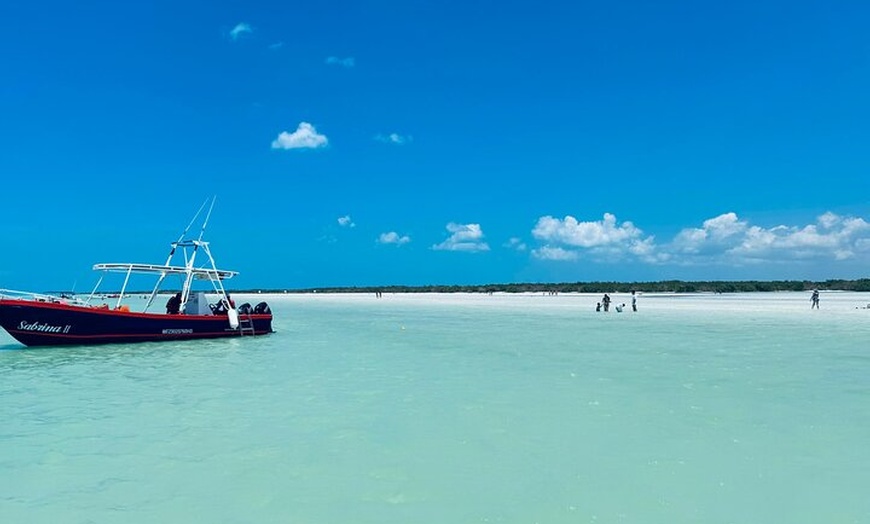 Image 16: Isla Holbox Day Tour from Cancun with Lunch Included