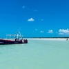 Image 16: Isla Holbox Day Tour from Cancun with Lunch Included
