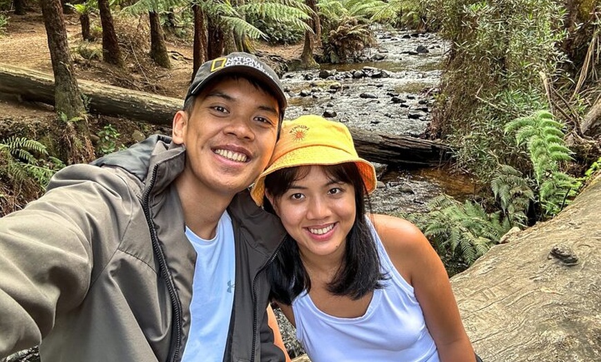 Image 10: Puffing Billy, Forest Trails and Yarra Valley Discovery Tour