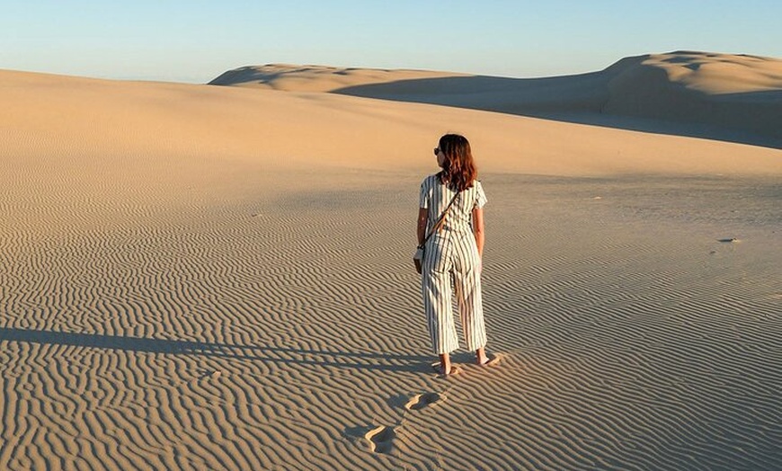 Image 15: Port Stephens Unlimited Sandboarding and Sand Surfing