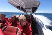 Adventure Rottnest Tour with Ferry & Adventure Cruise - Image 2