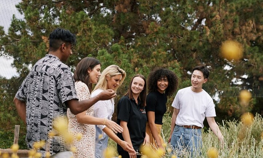 Image 8: Adelaide City and First Nations Cultural Tour