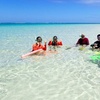 Image 3: Ningaloo In A Full day Hike and Snorkel Tour
