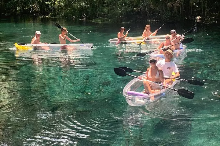 Clear Canoeing and Wildlife Sightseeing at Silver Springs