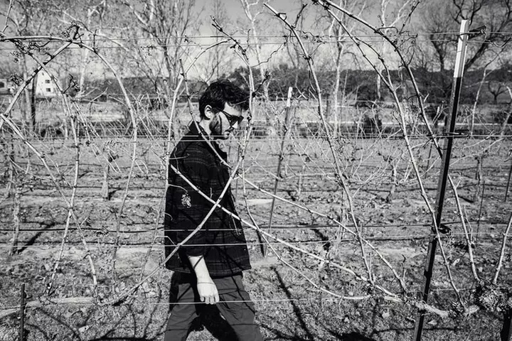 Winemaker Tour & Barrel Tasting