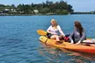 Kayaking with coastal wildlife in Sarasota Bay - Second Medium