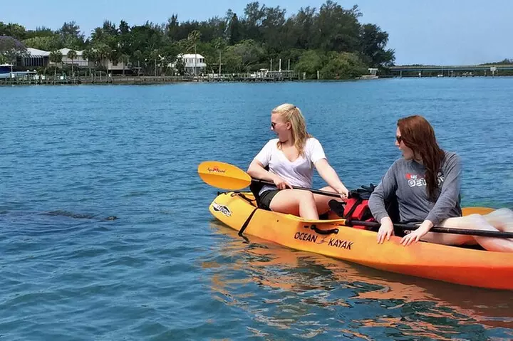Kayaking with coastal wildlife in Sarasota Bay
