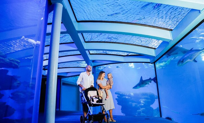 Image 13: Acuario de Palma con autobús de vuelta desde Port Alcudia