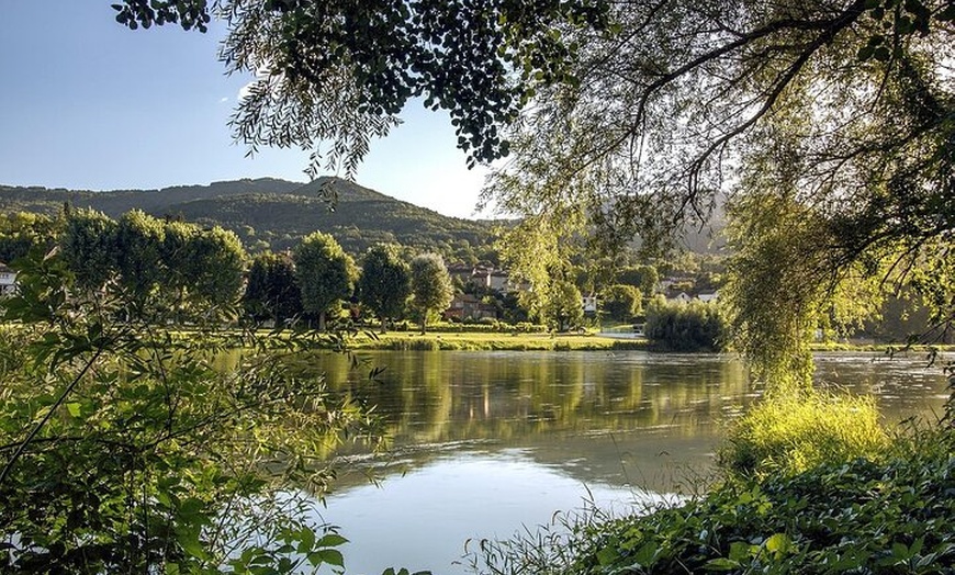 Image 7: Excursion d'une journée dans la vallée de la Loire au départ de Par...