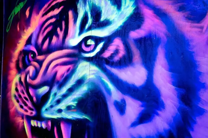 Spray Day Graffiti Workshop