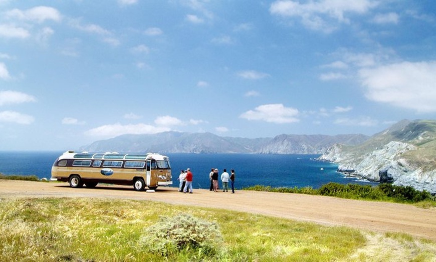 Image 3: Catalina Island Day Trip from Los Angeles with Optional Upgrades