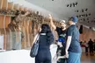 Museum Row Tour: Space, Dinosaurs and Sports at Exposition Park - Second Medium