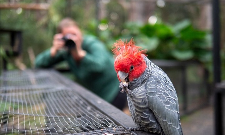 Image 18: Tour from Eden to Merimbula Wetlands Wildlife and Coastline