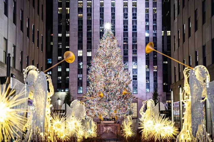 NYC Holiday Lights and Dyker Heights Luxury Bus Tour - Primary Image