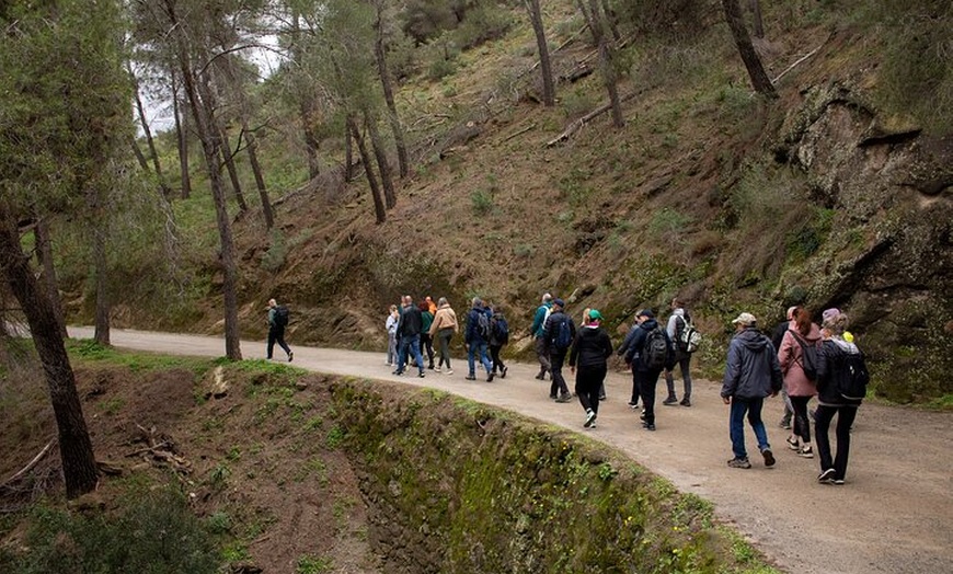 Image 14: Excursión de un día al Caminito del Rey desde la Costa del Sol