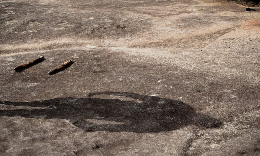 Image 5: Sydney Aboriginal Walking Tour with Welcome Smoking Ceremony