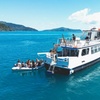 Image 2: Whitehaven Beach Ferry Full Day Return Transfer - BYO Lunch