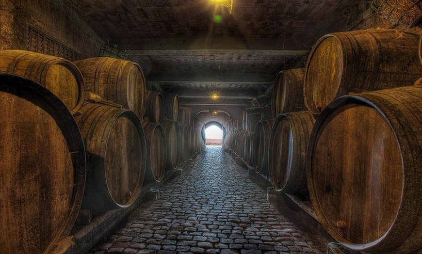 Image 6: Recorrido gastronómico en Tenerife con visitas a dos bodegas y almu...