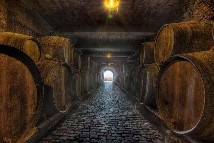 Recorrido gastronómico en Tenerife con visitas a dos bodegas y almu...