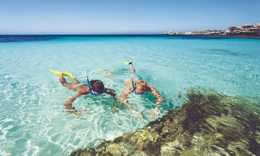 Image 3: Rottnest Island Round-Trip Ferry from Perth