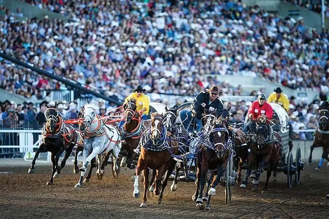 The Calgary Stampede - Primary Image