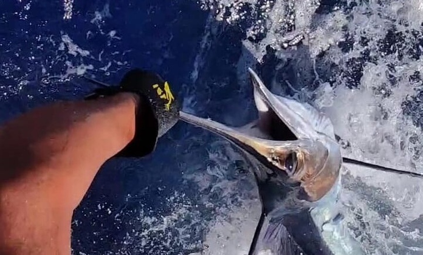Image 14: Macaronesia Charter de Pesca en La Gomera (Islas Canarias)