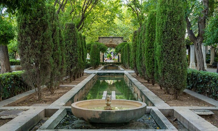 Image 7: Palacios, Jardines y Catedral de Palma