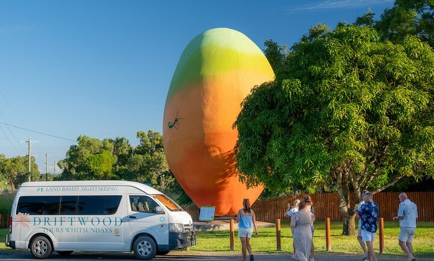 Image 16: Bowen Beaches Discovery-Top of the Whitsundays