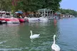 Scenic Lake Austin Boat Tour. BYOB. 2 hr (up to 12 guests) - Second Medium