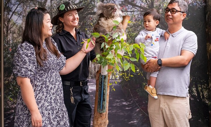 Image 6: Perth Day Tour: Dolphin Cruise, Wildlife Park, and Swan Valley