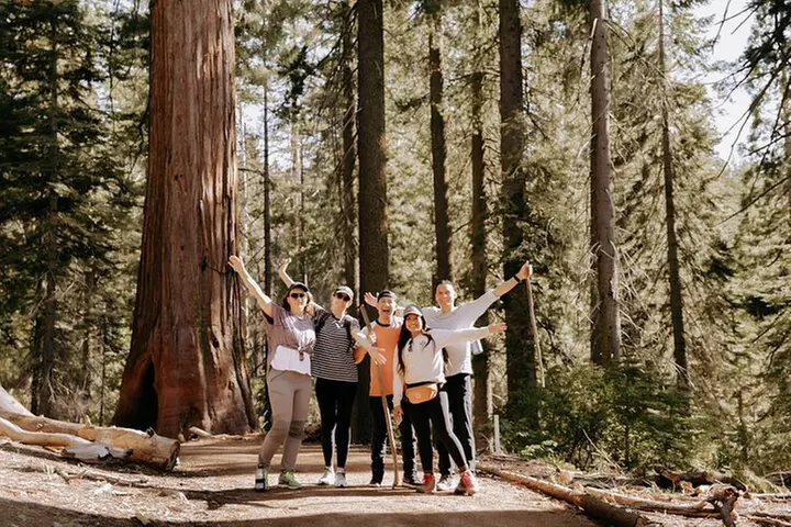 Yosemite National Park & Giant Sequoias 2-Day Semi-Guided Tour - Primary Image