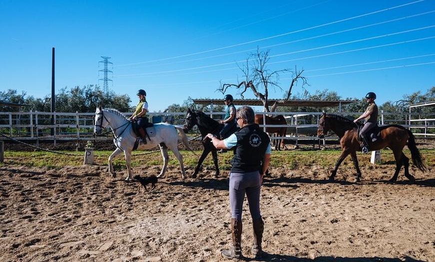 Image 6: Paseos a caballo por el Parque Nacional de Doñana