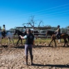Image 6: Paseos a caballo por el Parque Nacional de Doñana