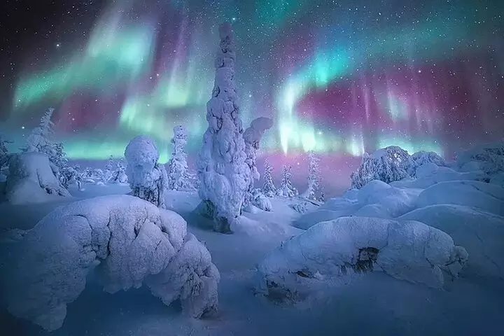Northern Lights & Arctic Circle Tour