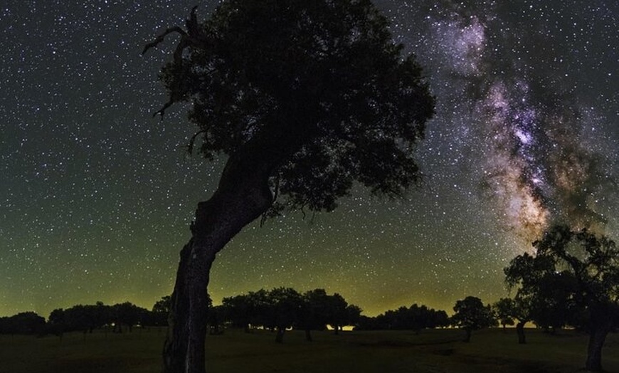 Image 7: Inmersión nocturna con interpretación del cielo y sonidos de la nat...