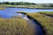 Family Intro to Stand Up Paddleboarding - Second Medium