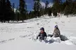 Ultimate Snowplay Adventure at Mount Charleston - Second Medium