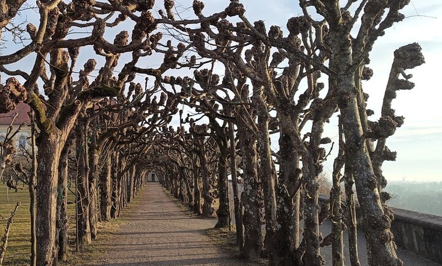 Image 13: Private historische Stadtführung mit Schlossbesuch in Dachau