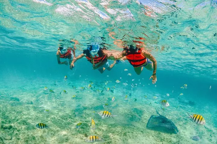 Xcaret Park Entry Tickets with Cultural Night Show Included