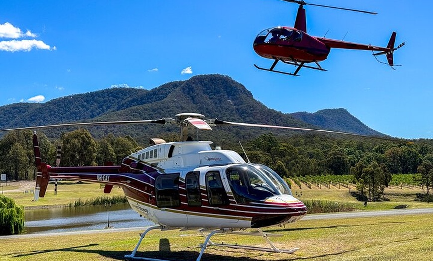 Image 6: Hunter Valley Helicopter Tour: Bubbly Breakfast