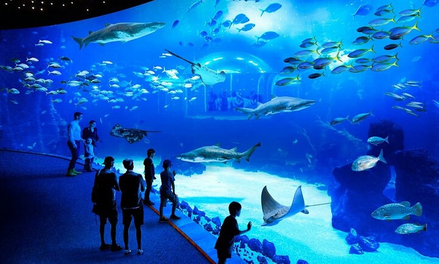 Image 3: Acuario Poema del Mar y Bus TUI Paquete