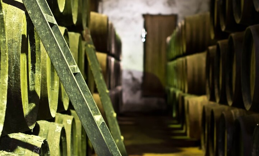 Image 2: Visita a Bodega en Chiclana de la Frontera: Cata de Vinos y Tapas