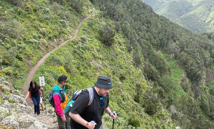 Image 18: Tour de Senderismo en Anaga : Ruta del Taborno con Vistas al Océano...