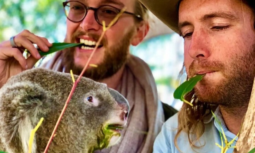 Image 15: Baby Animals, Boomerangs and BBQ Lunch