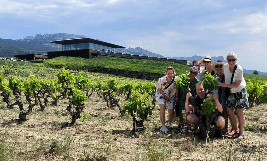 Image 32: Rioja Alavesa: Auténticas experiencias de vino
