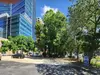 Parking at Wilmington Lot - P773